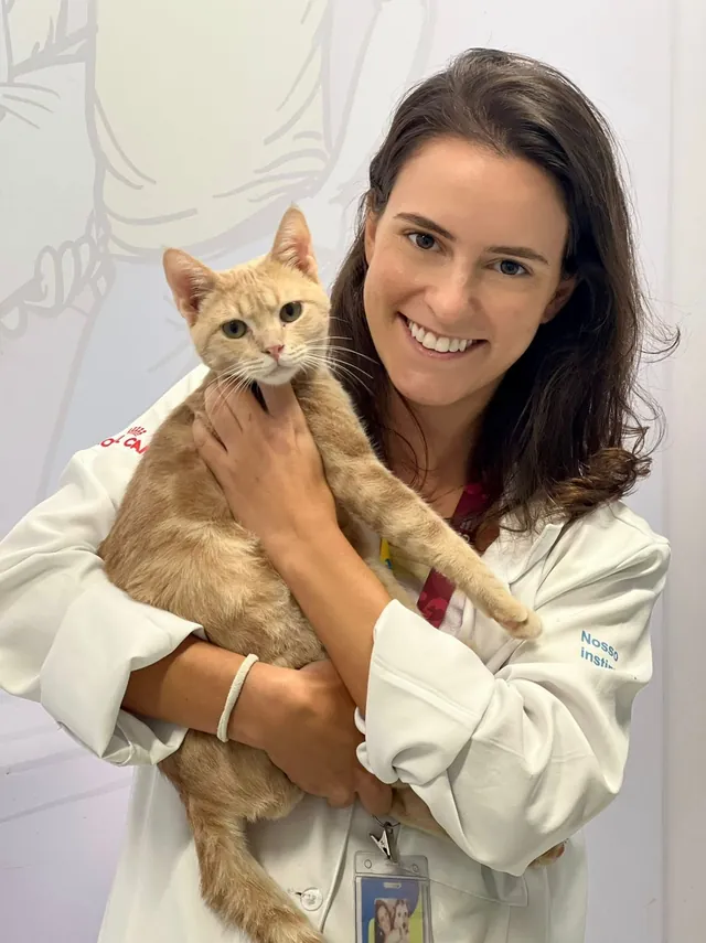 Endocrinologista